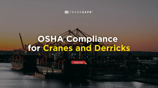 crane and derricks in a port
