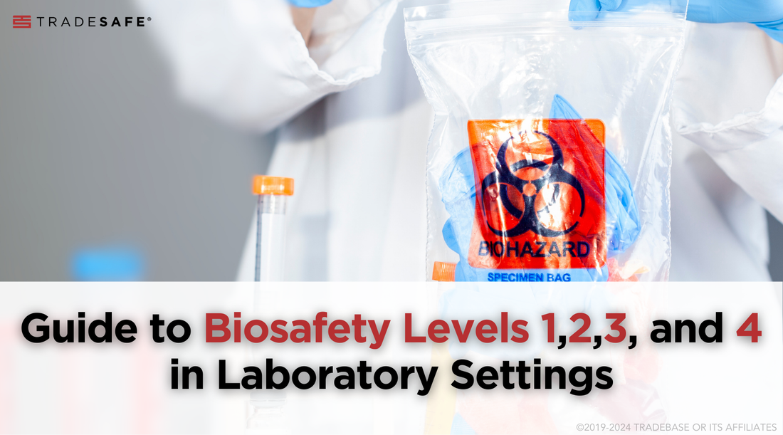 biosafety-levels-guide