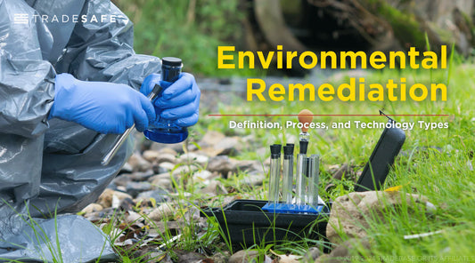 environmental remediation process