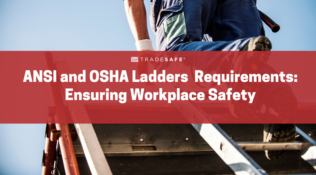 ansi and osha ladders requirements