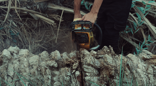 logger cutting tree