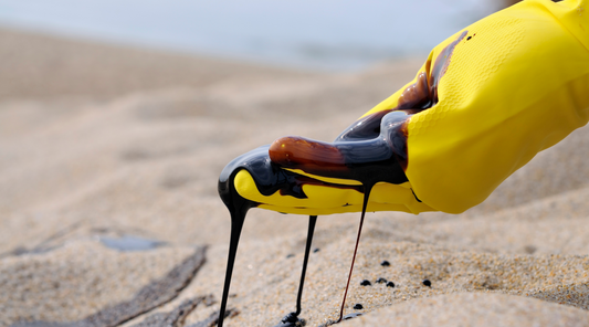 Does Kitty Litter Absorb Oil? The Truth and Other Alternatives