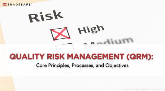 qrm principles process and objectives