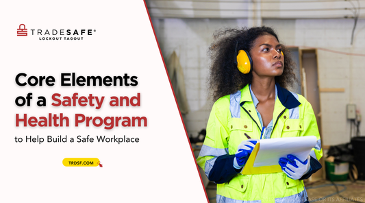 workplace safety and health program