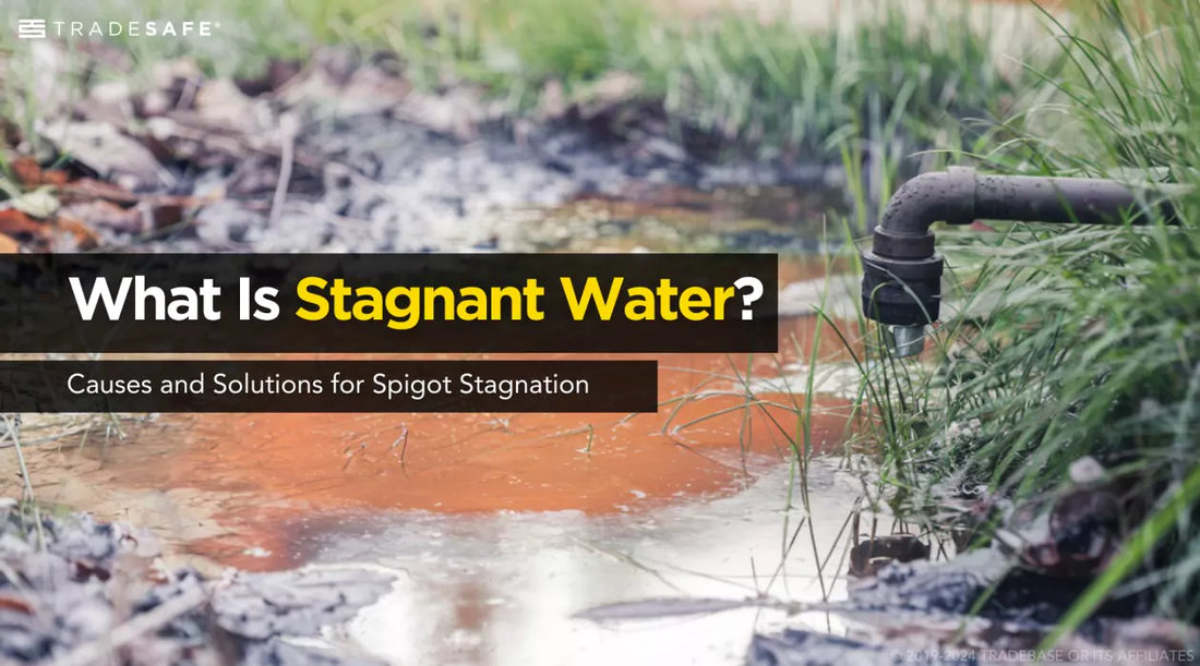 stagnant water near a spigot with visible algae