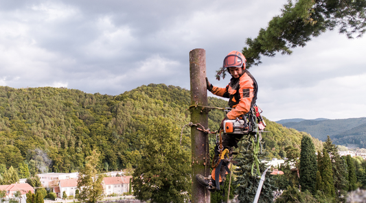 worker at height with hall safety harness