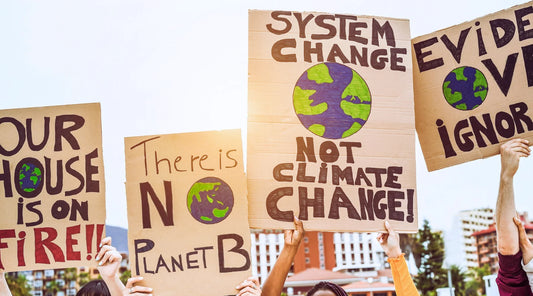 youth climate movement achievements