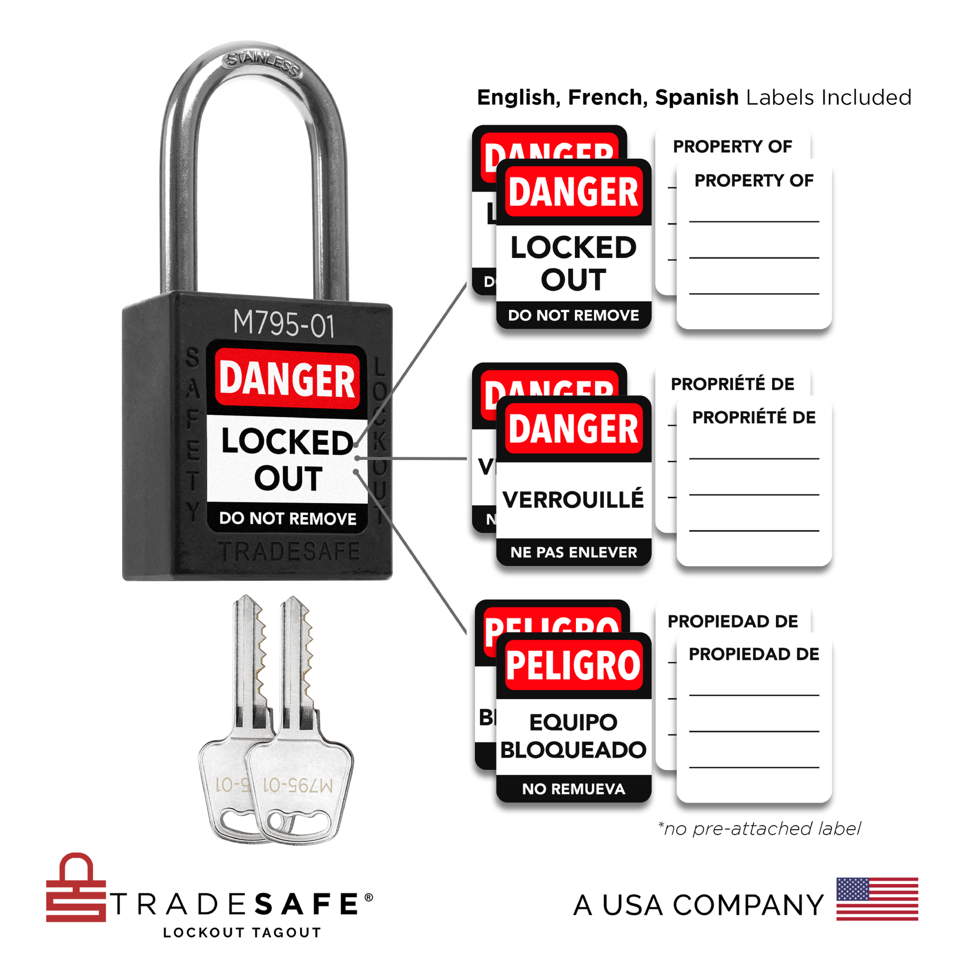 visual representation of black keyed different lock with master key including labels in three languages