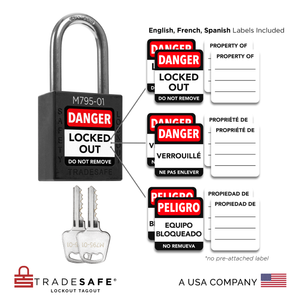 visual representation of black keyed different lock with master key including labels in three languages