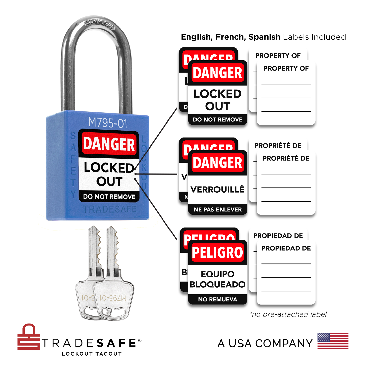 visual representation of blue keyed different lock with master key including labels in three languages