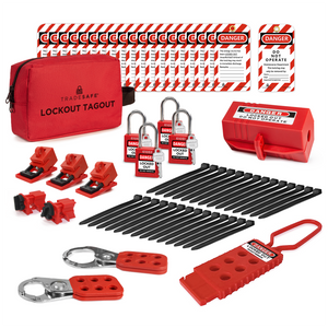 1 pouch, 30 zip ties, 3 hasps, 20 loto tags, 4 padlocks with 1 key each, 1 plug lockout, and 5 circuit breaker locks