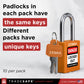padlocks in each pack have the same keys, different packs have unique keys