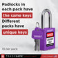 padlocks in each pack have the same keys, different packs have unique keys