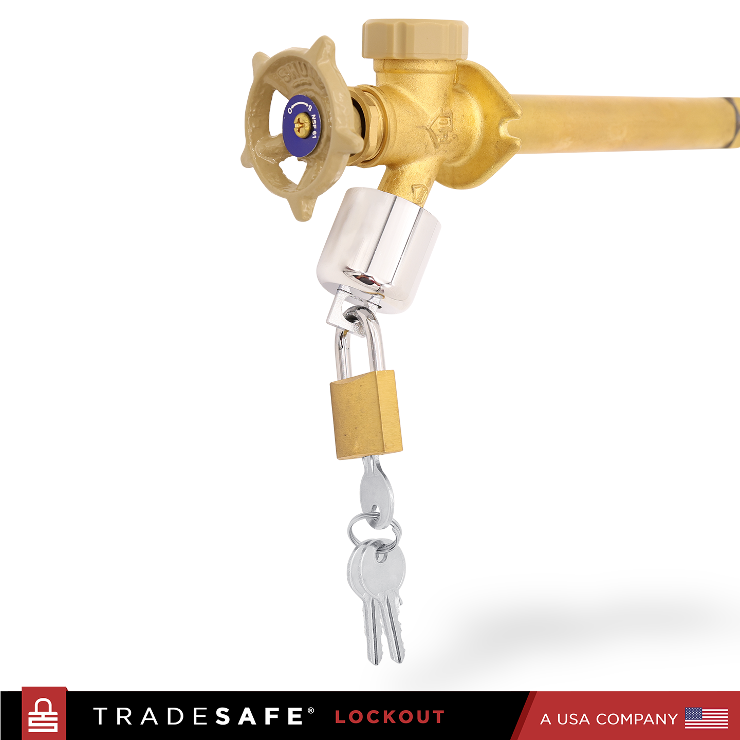 in-use image: hose bibb locked with padlock, 2 keys inserted